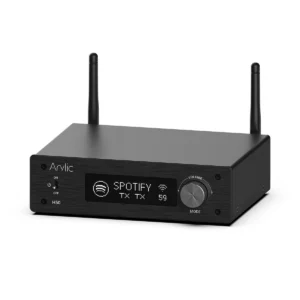 Buy Arylic H50 WiFi Bluetooth 50Wx2 Stereo Amplifier with Alexa - TechAccess Shop